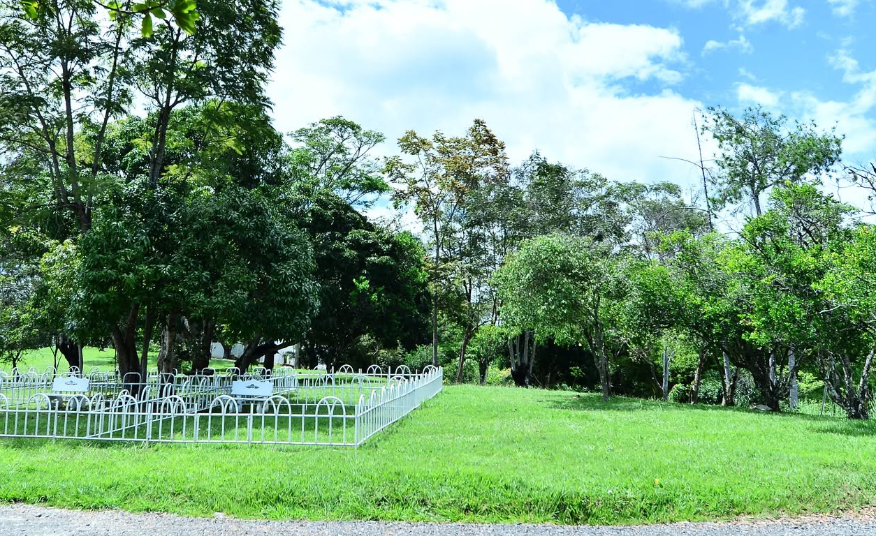 Familia del Llano